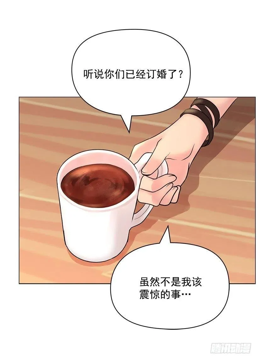 红色宝石 第44页