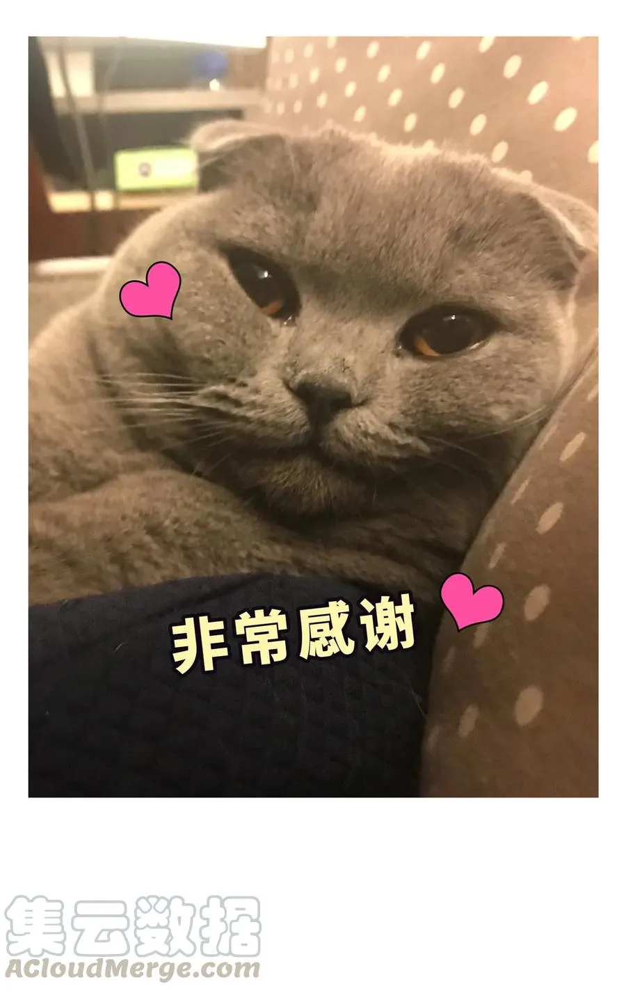 第86话 祁安瑾是个省心的搭档 第101页