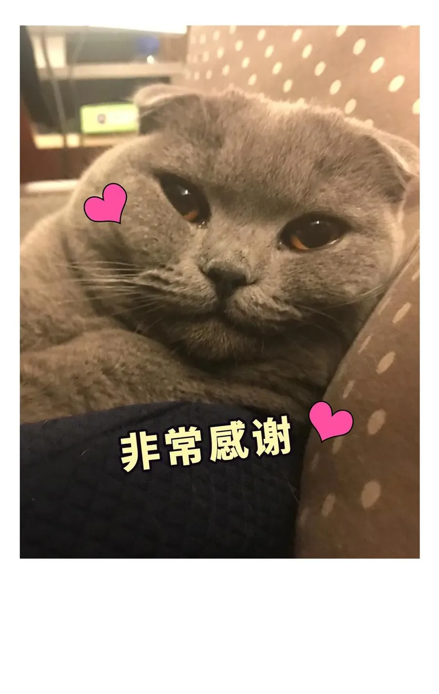 第85话 你是栾羽的谁？ 第82页