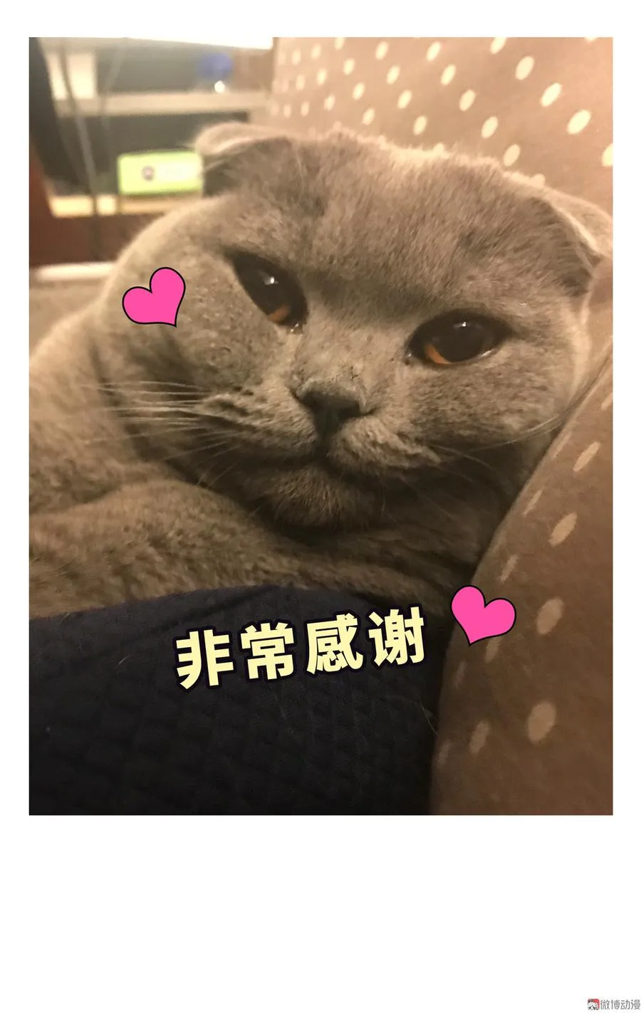 第74话 他好像在生我的气？ 第76页
