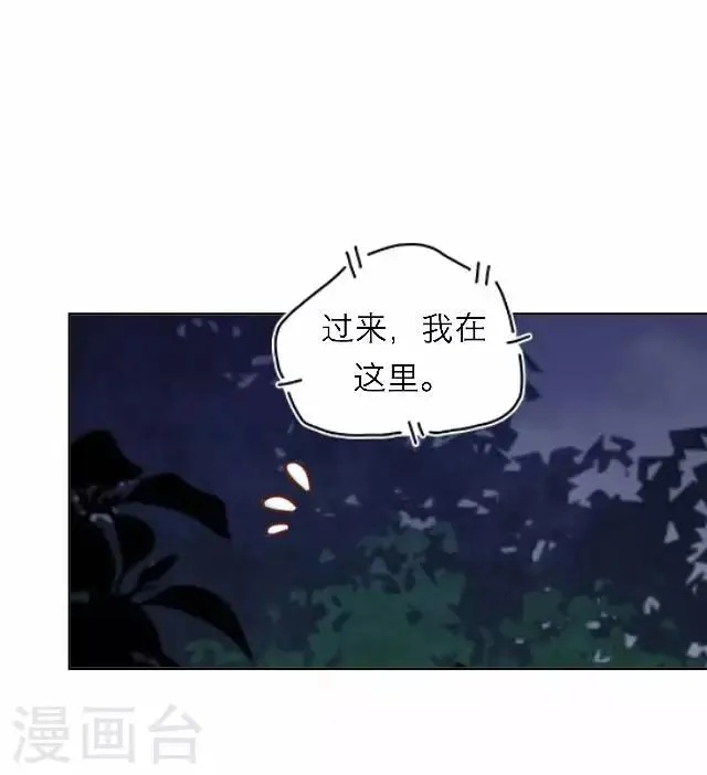 第41话 受伤 第12页