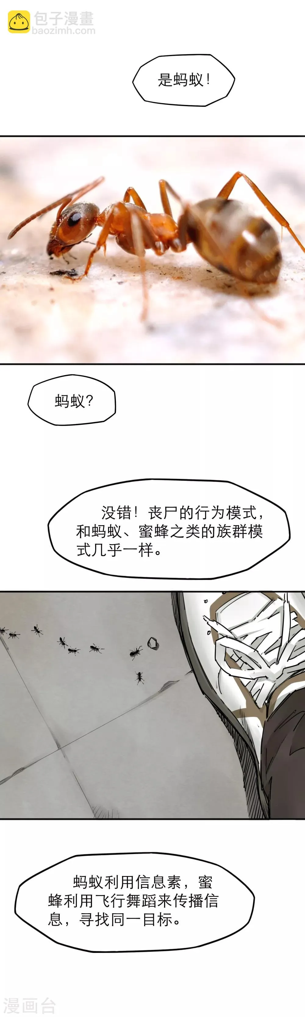 第30话 主角登场 第12页