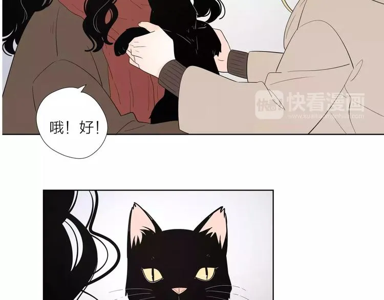17麻烦上门 第3页