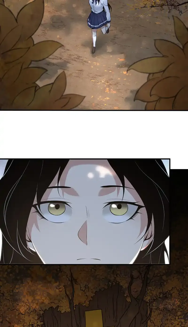 147 无罪谋杀33 第19页