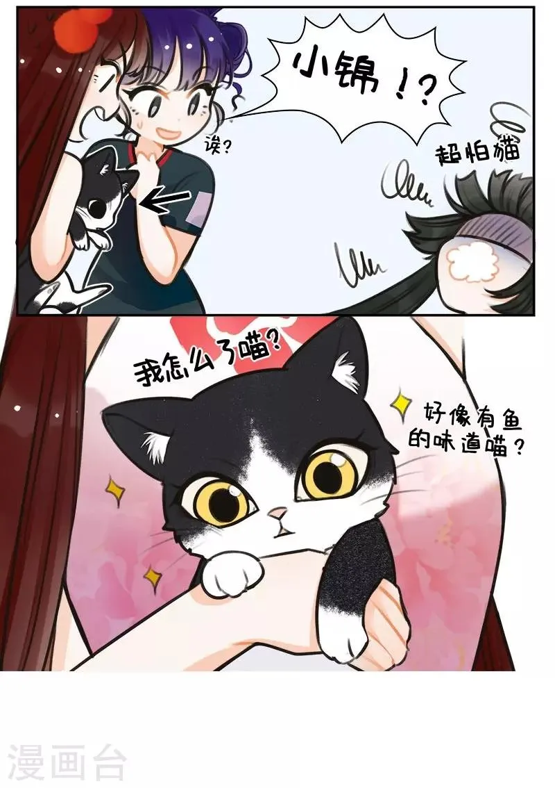 第150话 怕猫的锦鲤 第5页