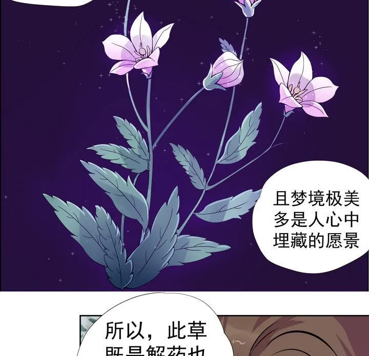 第8话 紫茎草 第24页