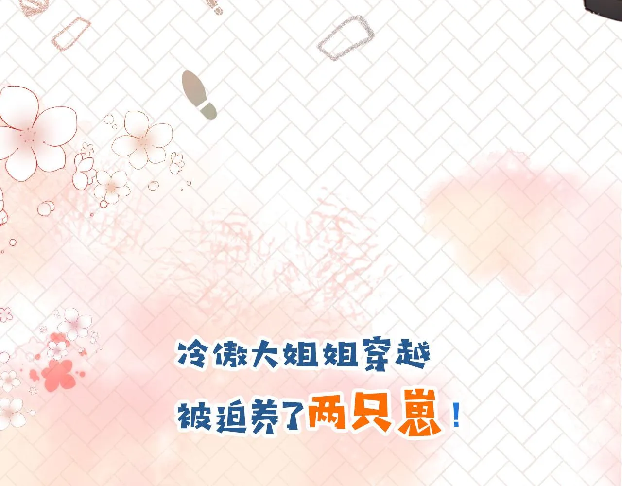 人物介绍 第15页