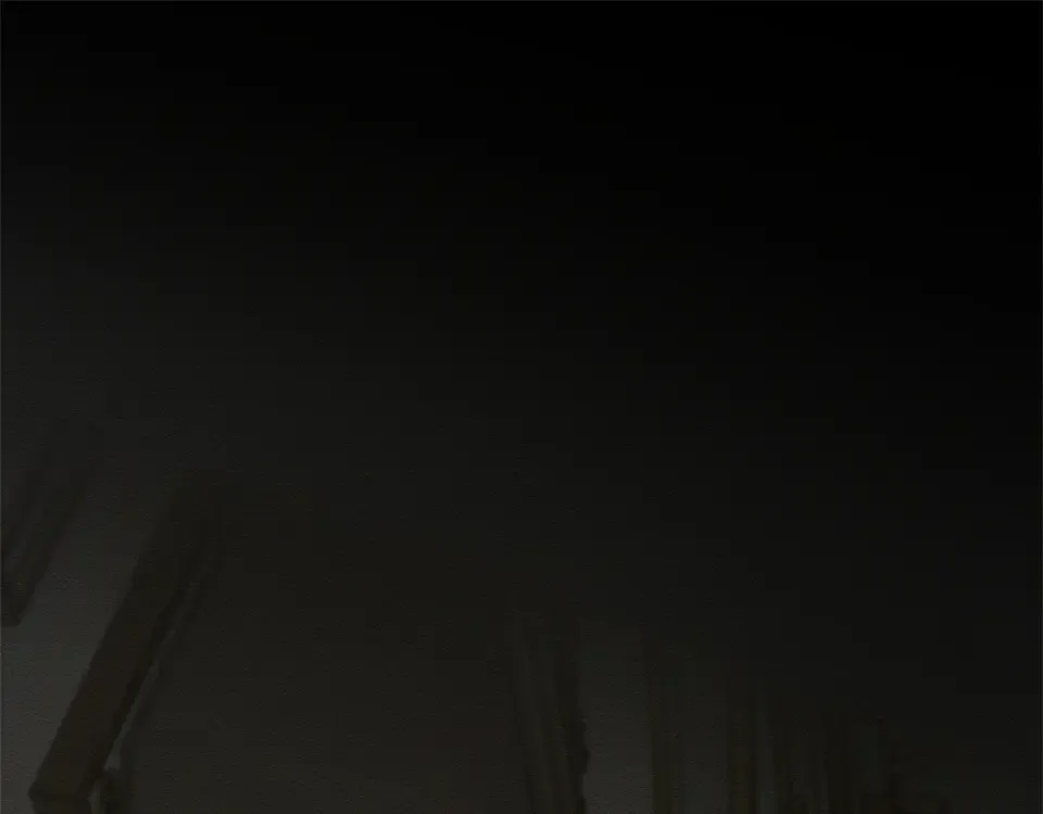 第104话 遵守诺言 第5页