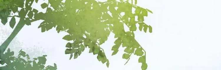 第6话 摄魂大法·再遭意外 第92页