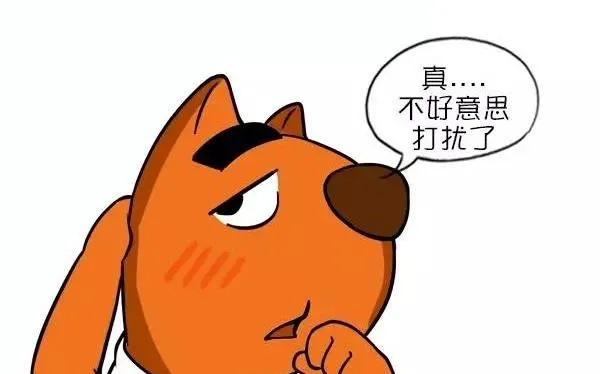 命令 第23页