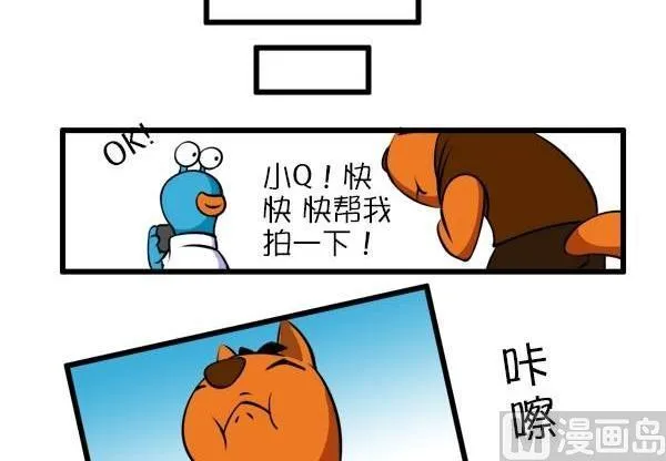 拍一拍 第3页