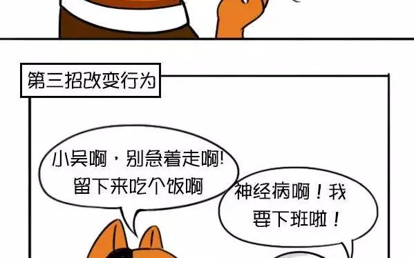 年终大奖 第13页