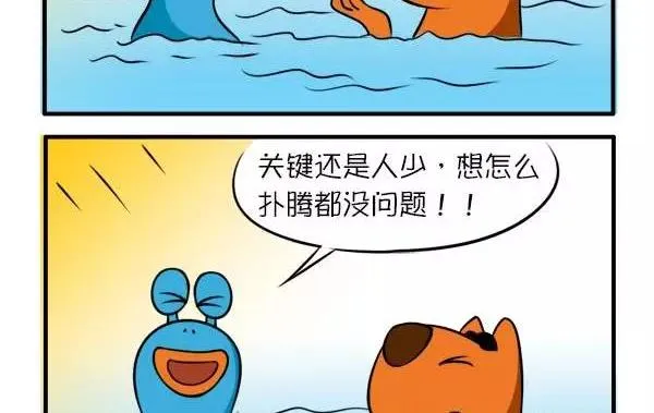 完美泳池 第5页