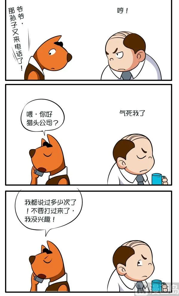 高招 第2页
