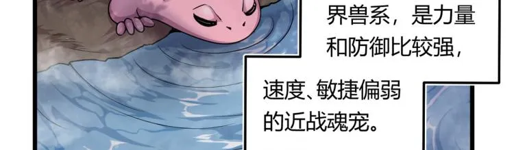 04 设陷阱，捕魂宠 第23页