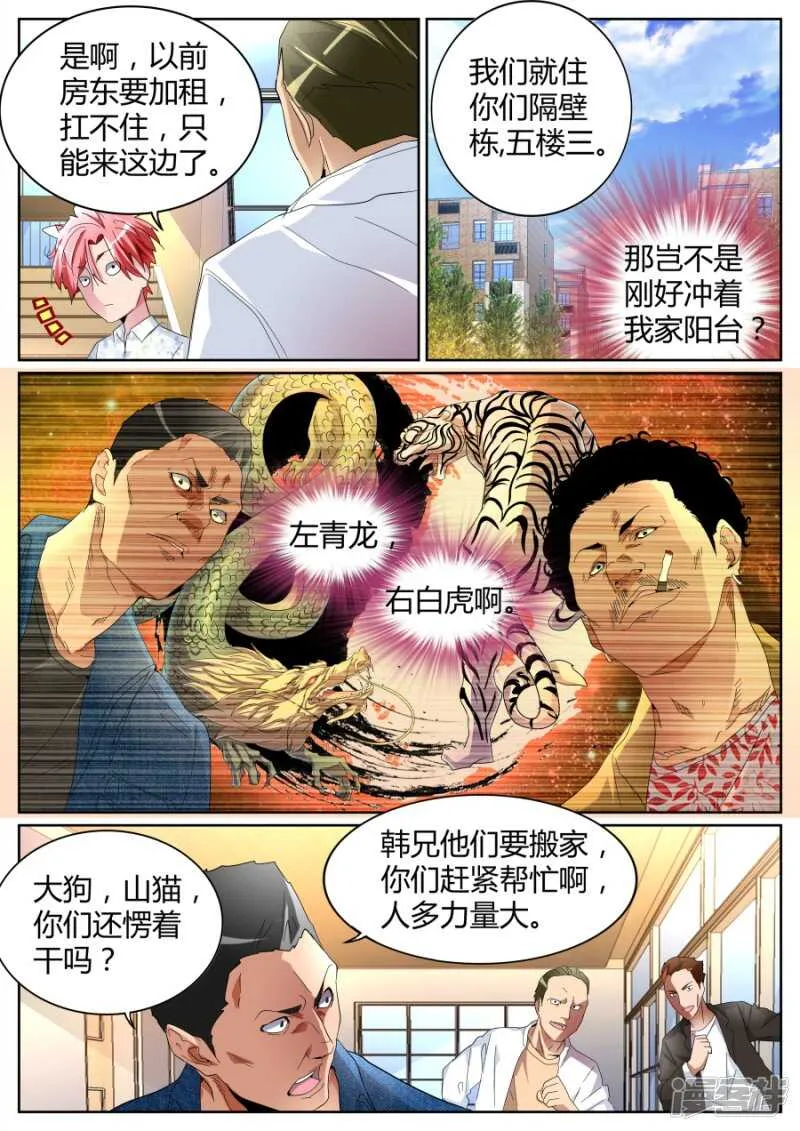 左青龙右白虎 第8页