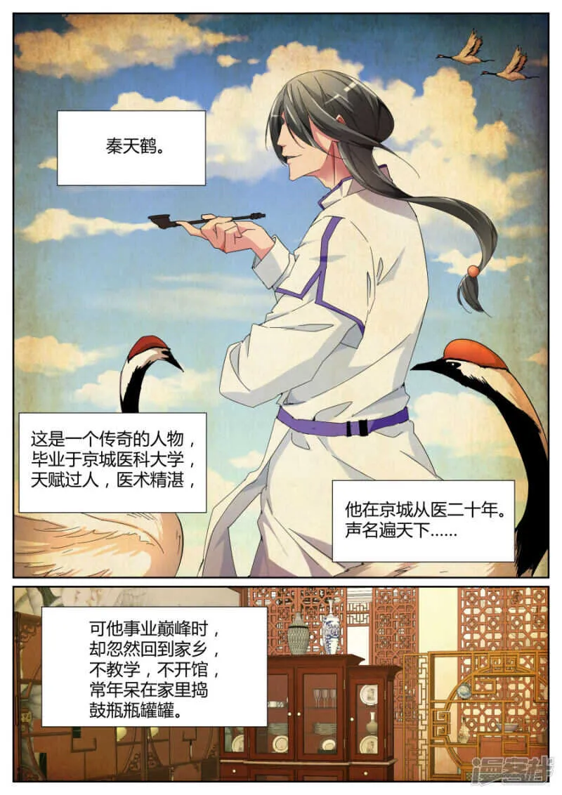 鹤神医 第2页