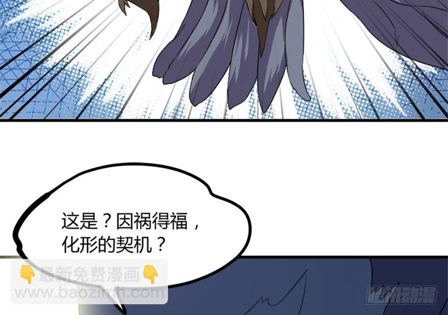 24 再次化形 第28页