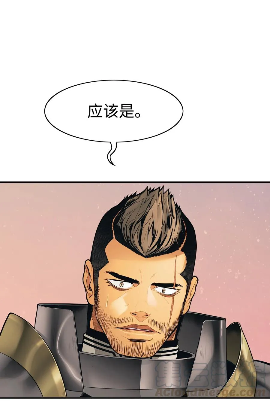 040 黄金骑士 第25页