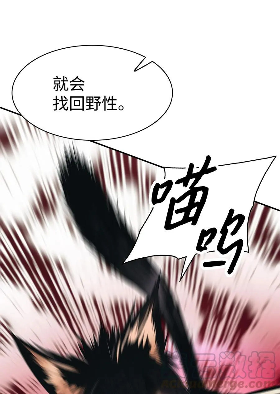 052 凯旋式 第45页