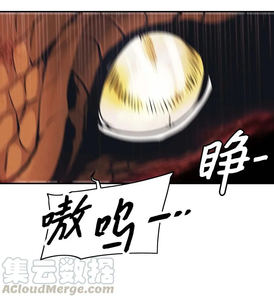 078 代理人 第13页