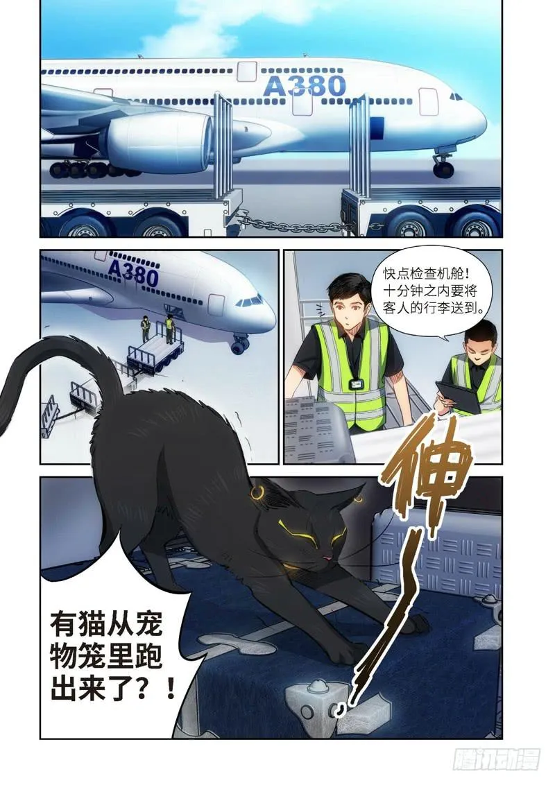 81.猫来了（01） 第2页