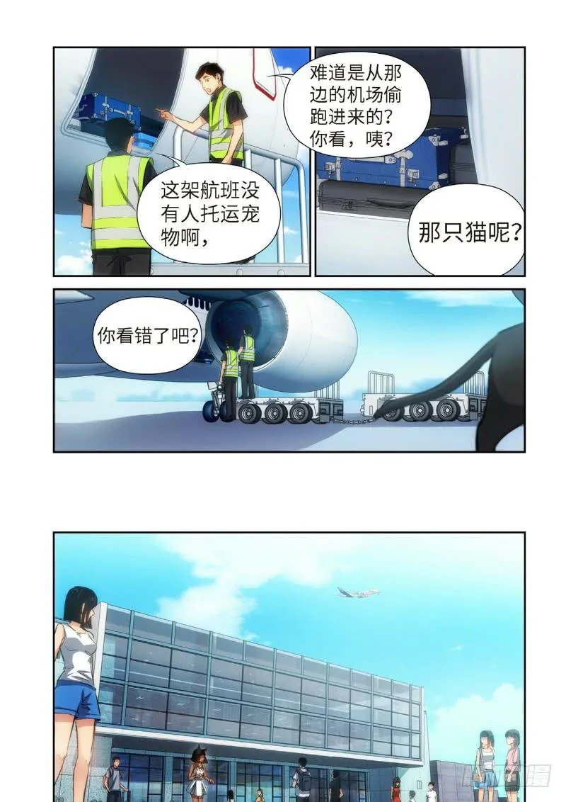 81.猫来了（01） 第3页