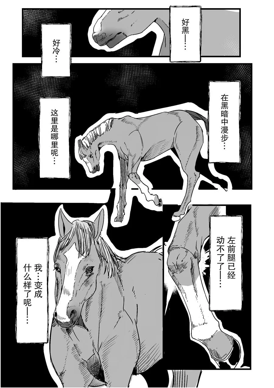 无声铃鹿想要奔跑 第2页