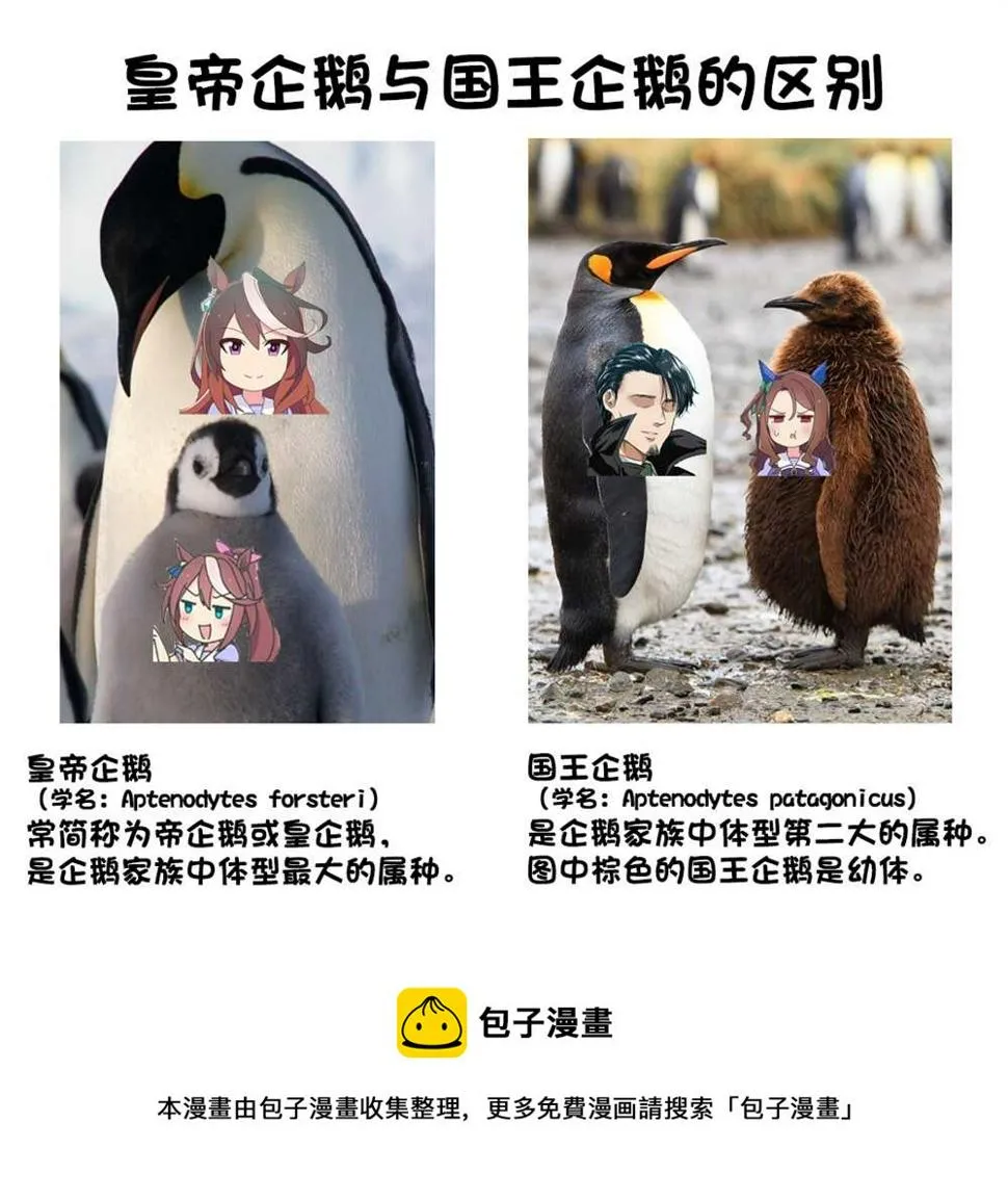 企鹅世代 第7页