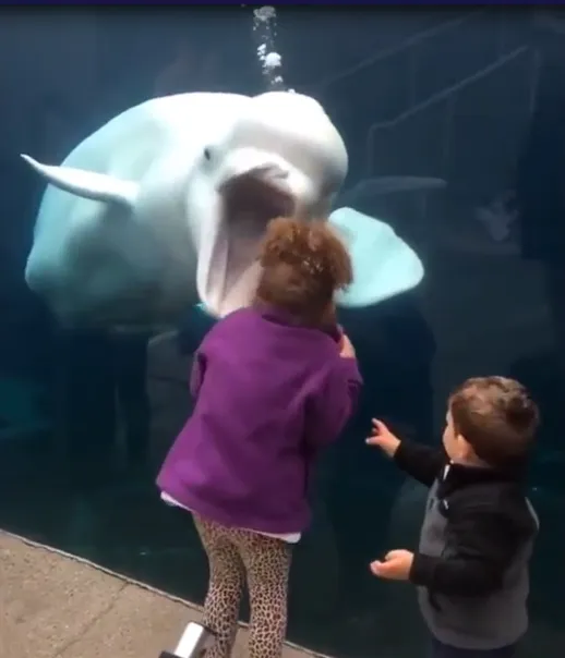 跟速子去水族馆 第4页