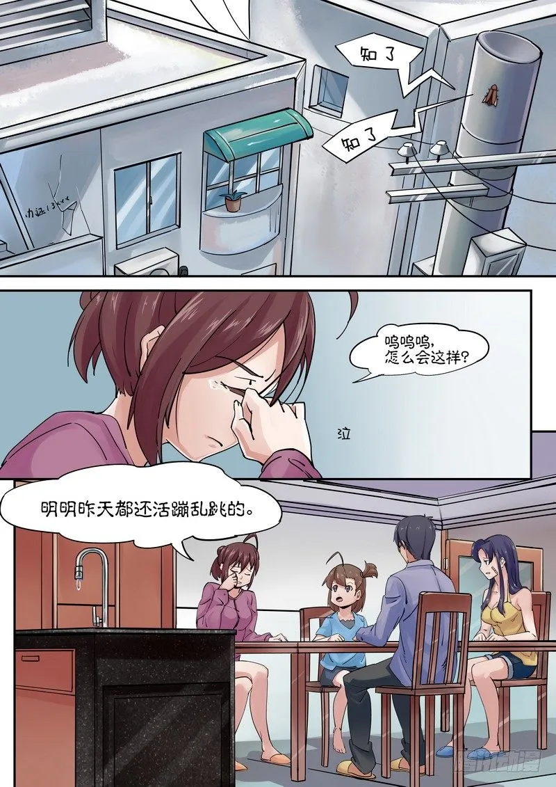 第二话 身后事，我还没死啊，喂！！ 第1页