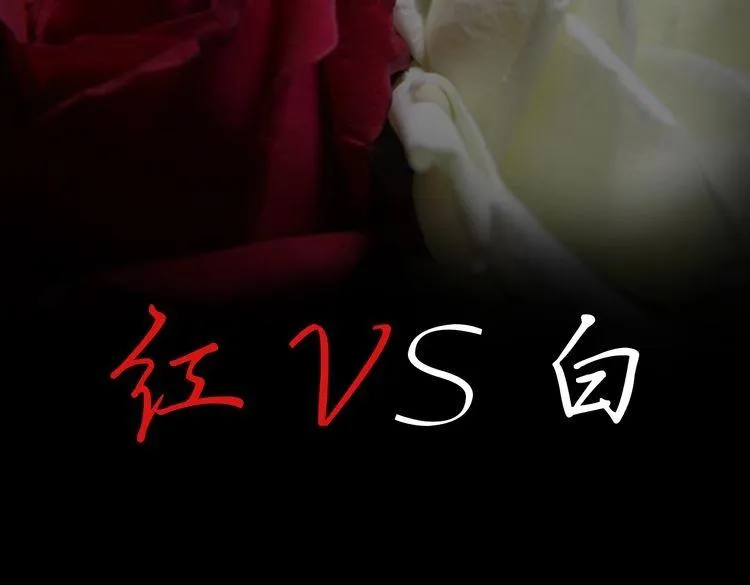 第21话 红VS白 第12页