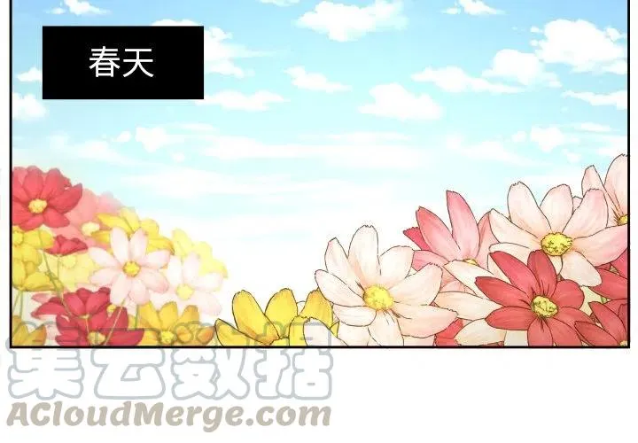 29 第4页