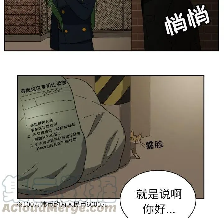 25 第19页