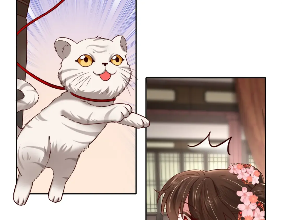 第11话 大白是老虎？ 第27页