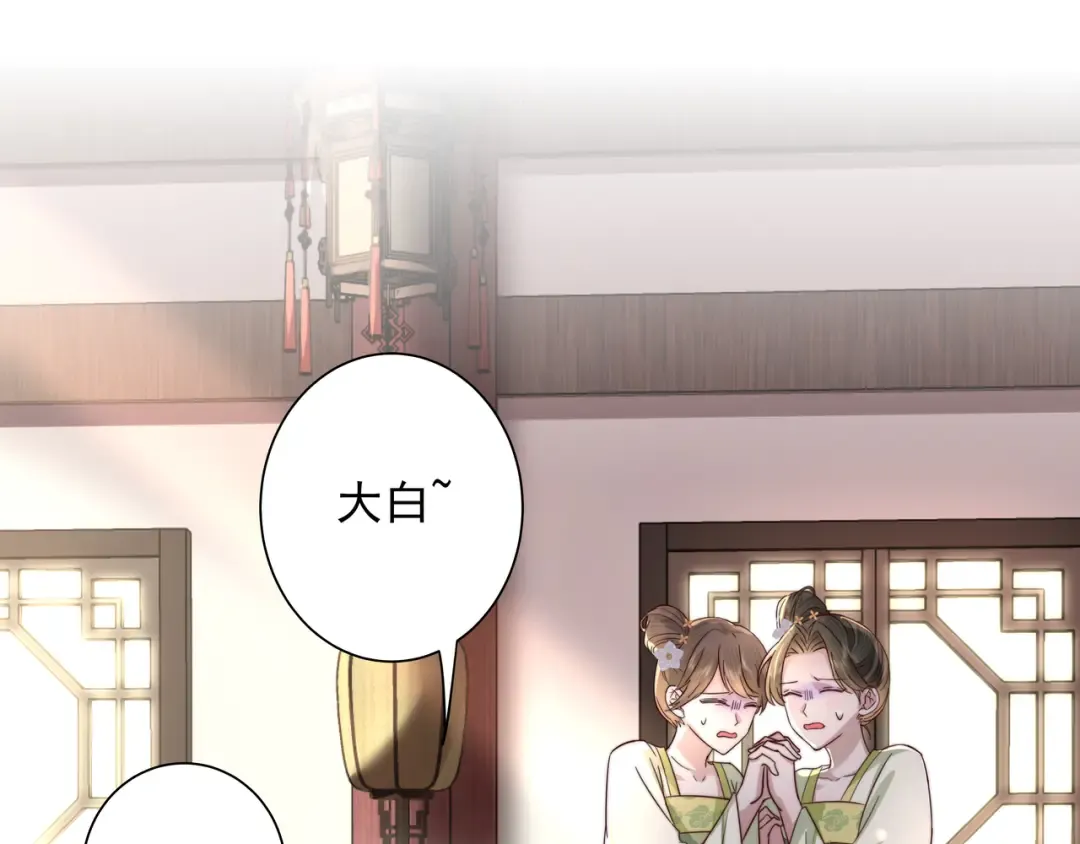 第11话 大白是老虎？ 第34页