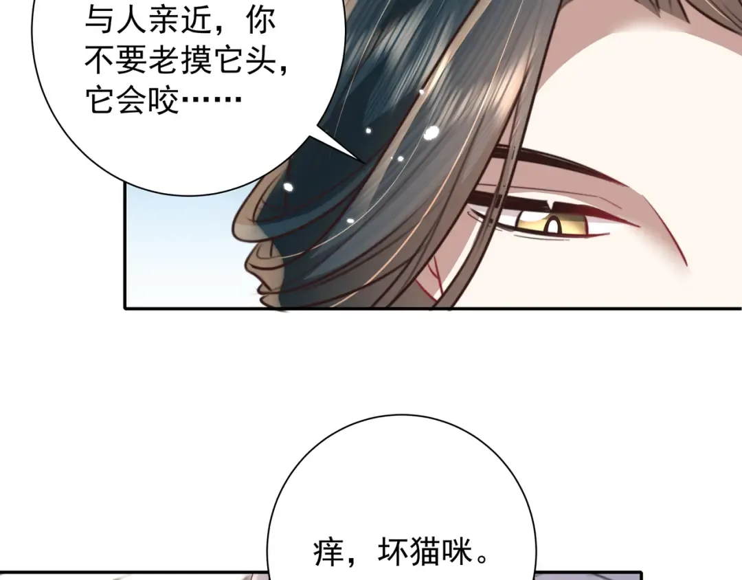 第45话 皇兄这猫真可爱 第39页
