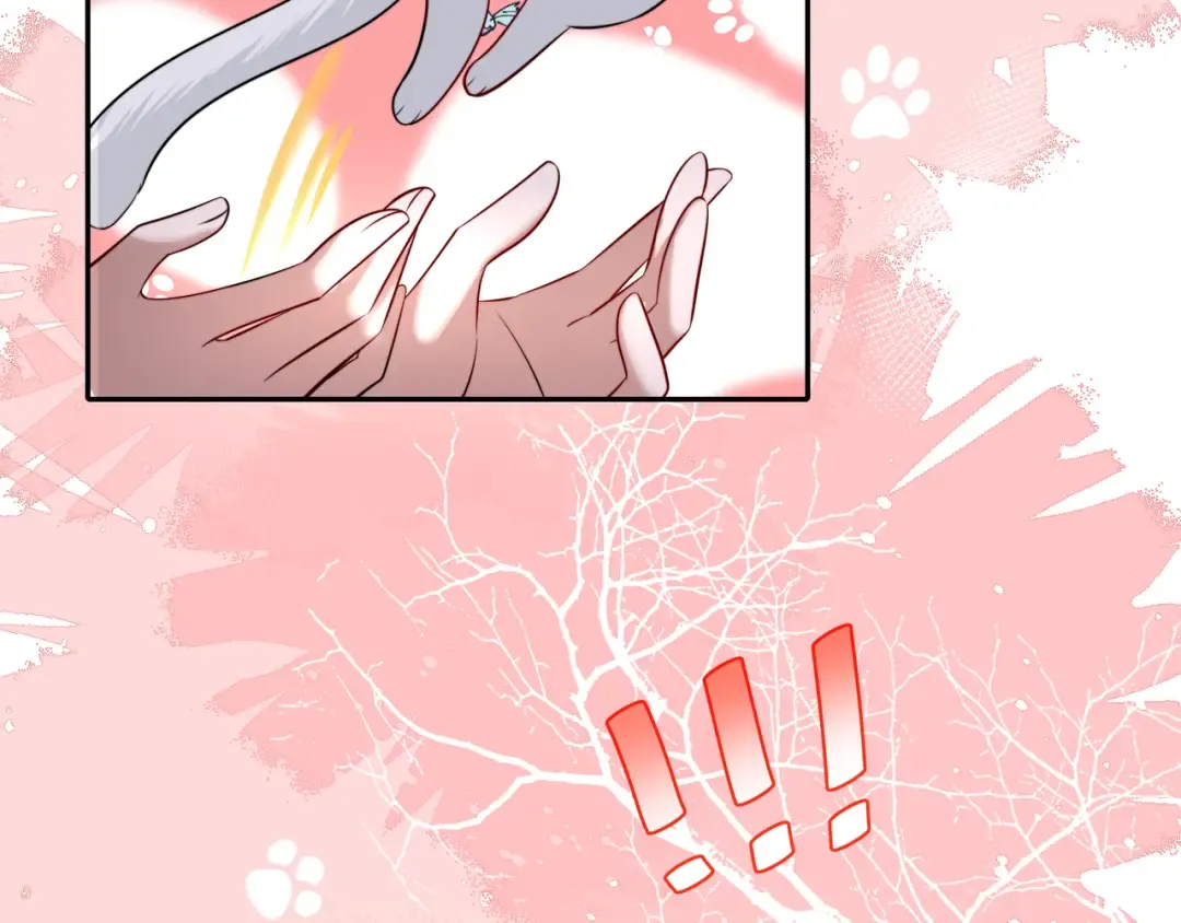 第45话 皇兄这猫真可爱 第65页