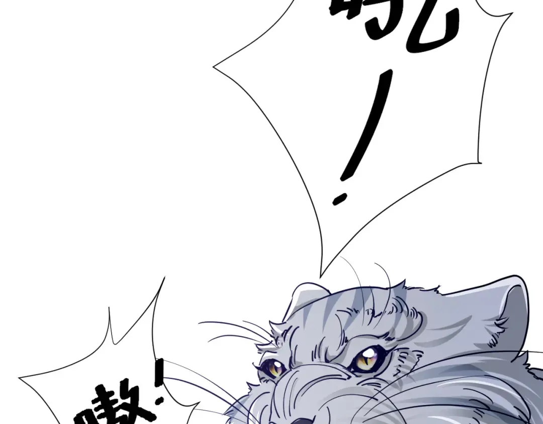 第63话 全家出动！ 第43页