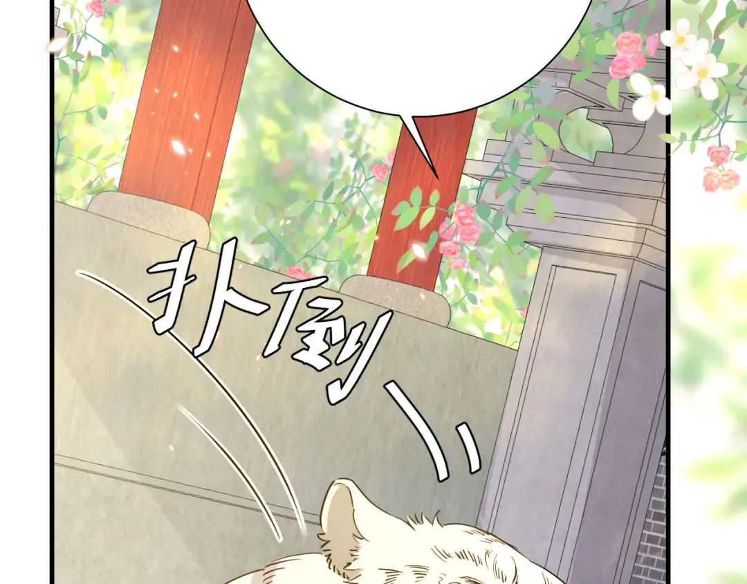 第98话 朕，御驾亲征！ 第13页
