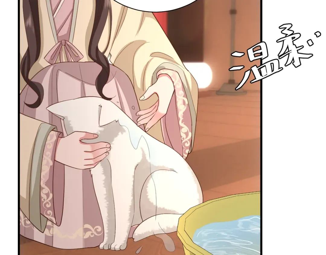 第127话 七七，你自己选 第63页