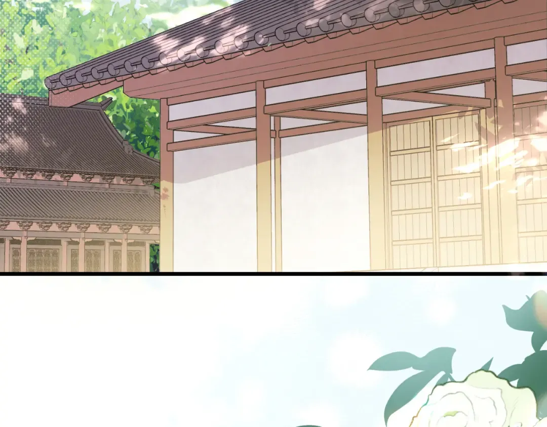第258话 团宠七七 第11页