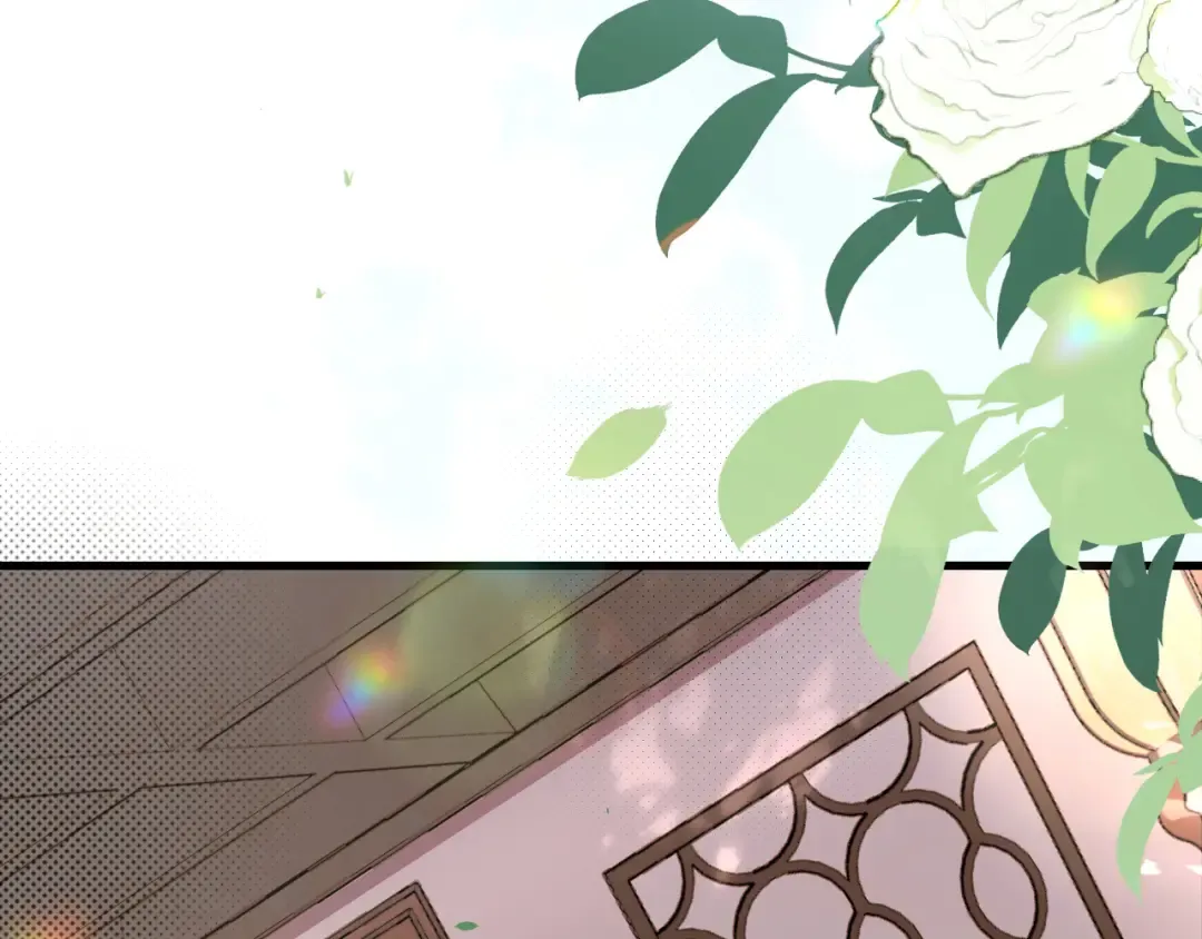 第258话 团宠七七 第12页