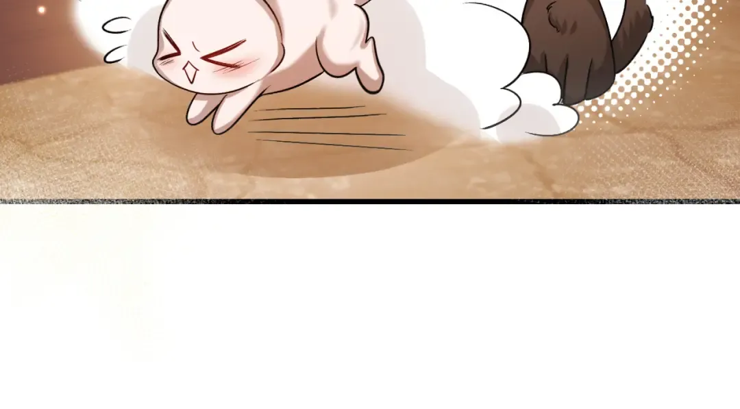 第315话 我喜欢的人是？！ 第67页