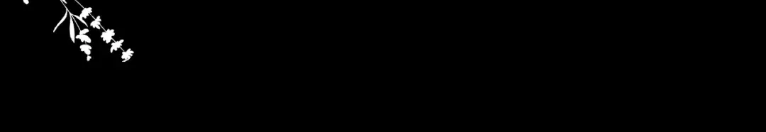 第381话 你喜欢我什么？ 第66页