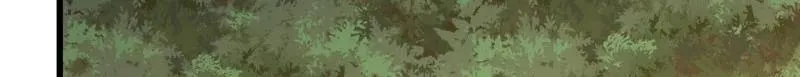 第497话 496 撤回左云山 第40页