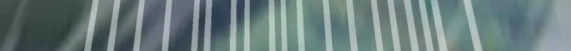 第511话 510 给点黑药嘛 第66页