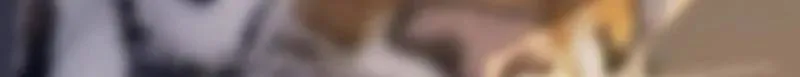 第541话 540 同仇敌忾 第165页
