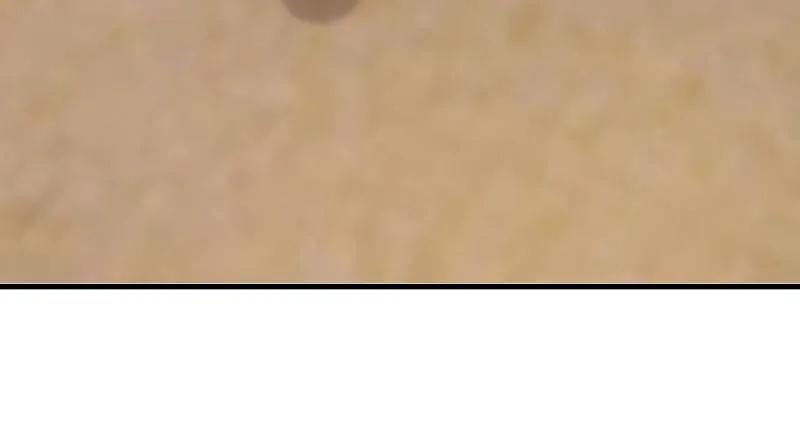 第582话 581 地缚之术 第50页