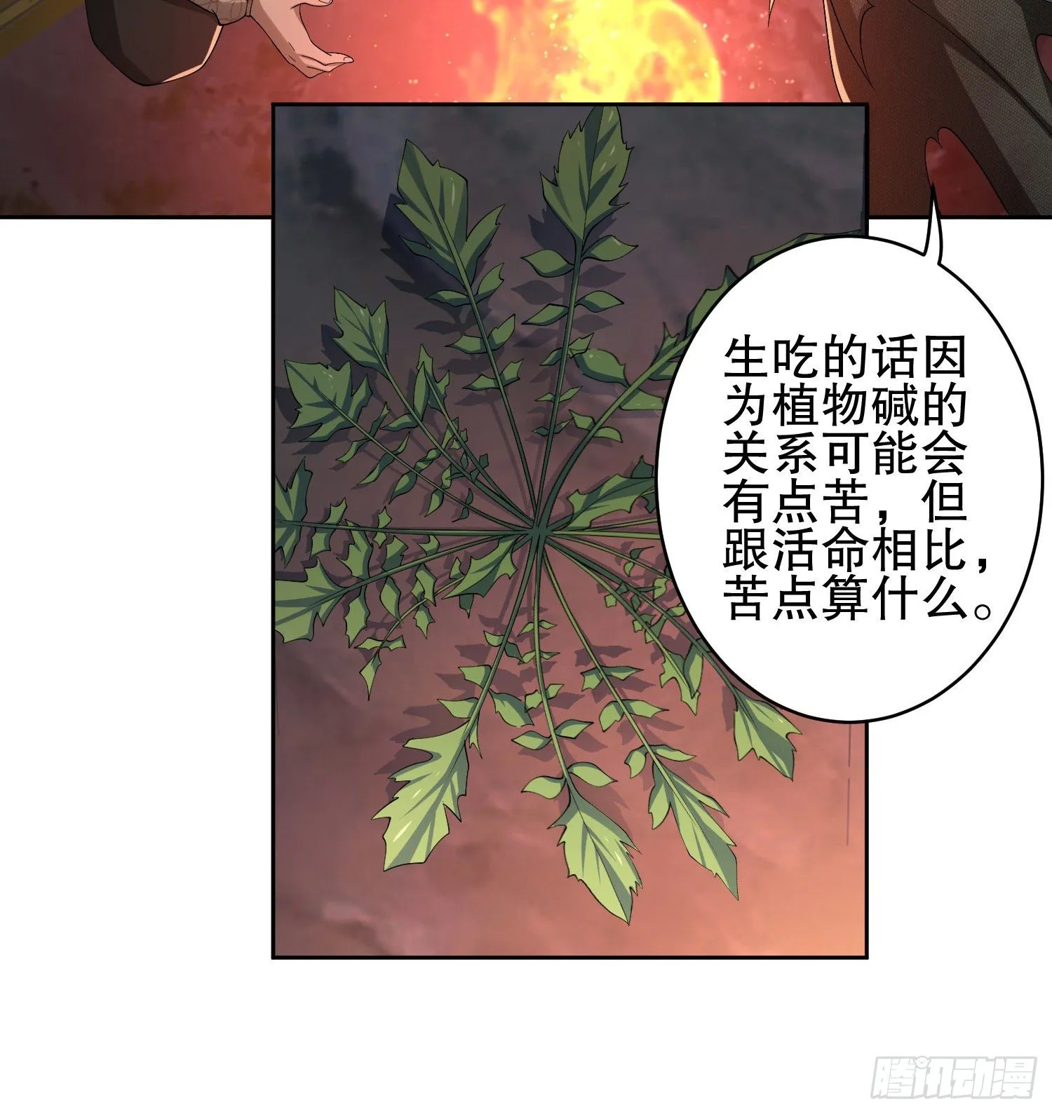 53 野菜 第42页